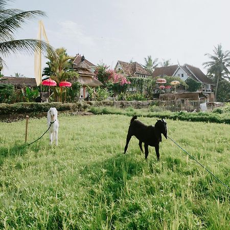 The Rice Joglo Eco-Stay Ubud Eksteriør billede