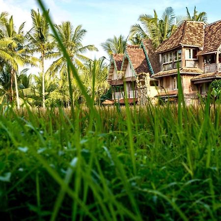 The Rice Joglo Eco-Stay Ubud Eksteriør billede